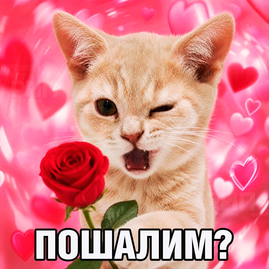 Шаурма куриная
